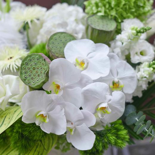 《清爽一夏》白绿抱抱桶 商品图5