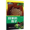 回家的燕子 商品缩略图0