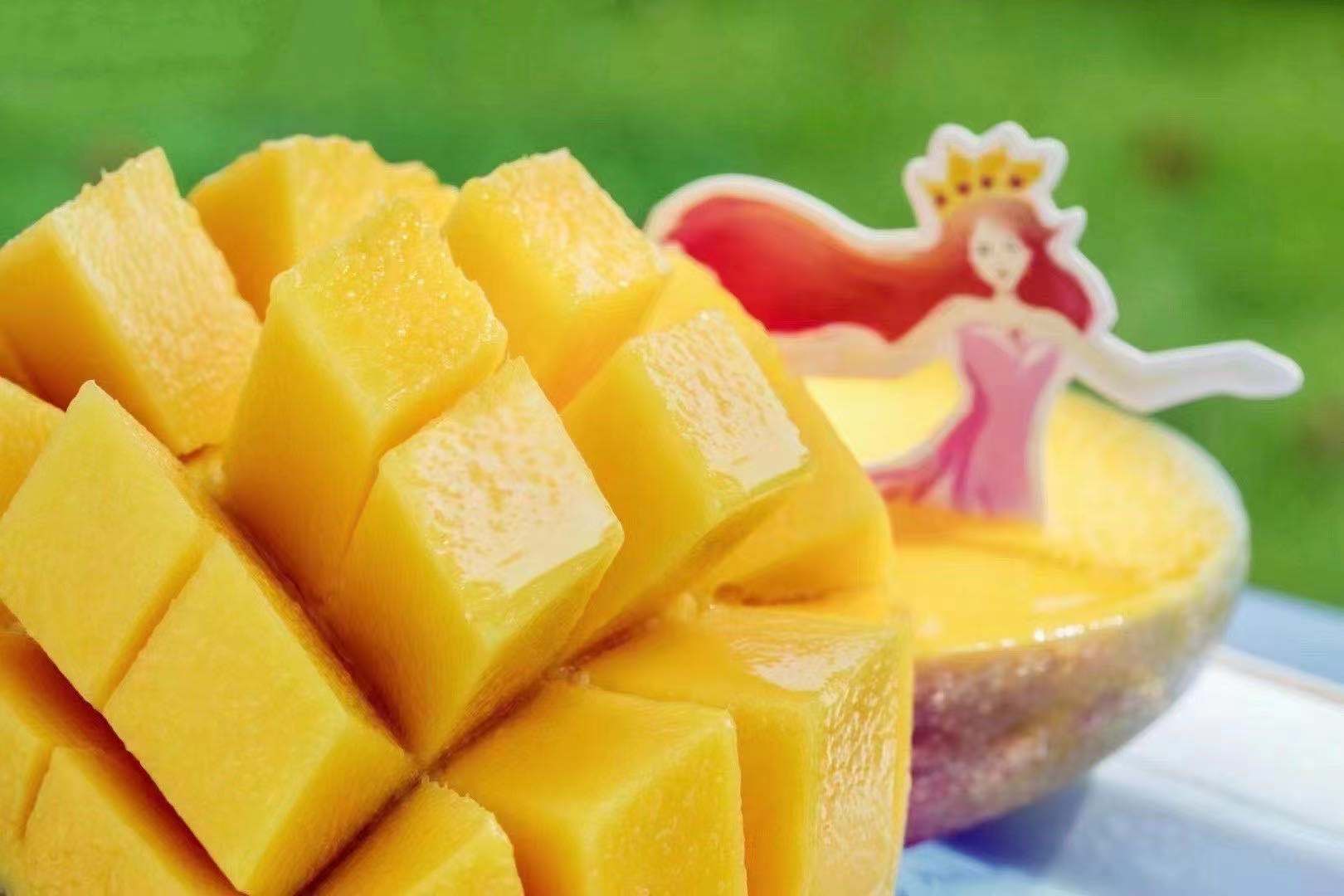 强烈推荐 野生凯特王妃芒果 皮薄核小肉厚,纤维少,果肉橙黄,超浓的