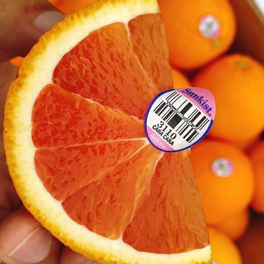 【澳洲新骑士血橙】5个/份，橙香浓郁，口感细腻 商品图1