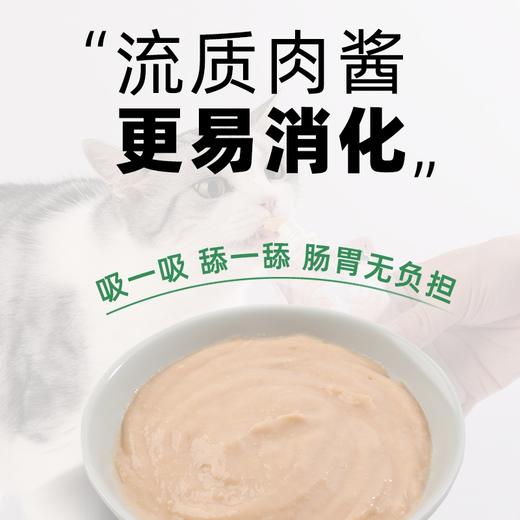 帕特 猫咪零食肉酱 胖酱 100g/包 商品图3