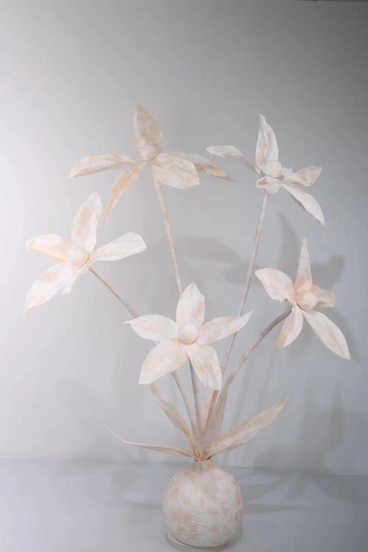 五头水仙【运费自理】 商品图3