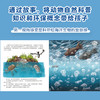 小海豹罗宾 海洋垃圾不见了 商品缩略图2