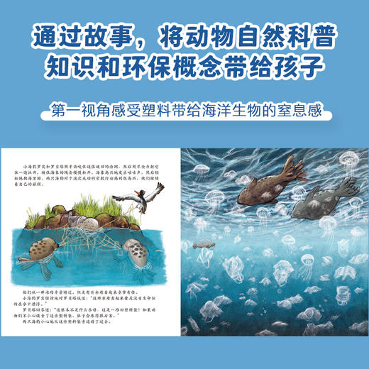 小海豹罗宾 海洋垃圾不见了 商品图2