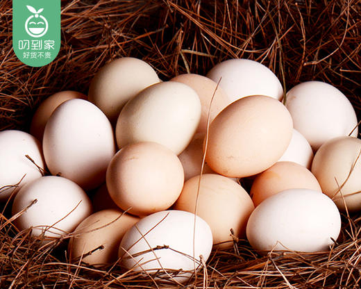买1送1敏艾格生态鸡蛋/1盒（30枚，共约1.2kg）生产日期：12月18日左右 商品图2