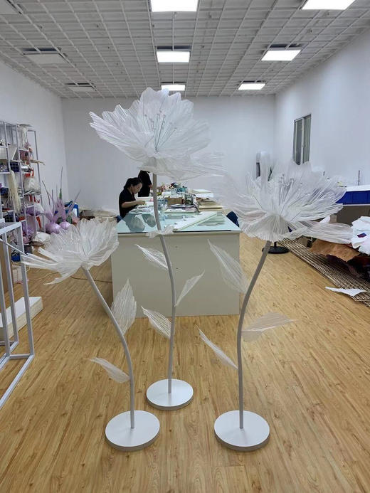 水晶花【运费自理】 商品图0