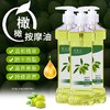 橄榄润肤油护肤玫瑰身体按摩精油全身刮痧护发通经络美容院用品 商品缩略图4