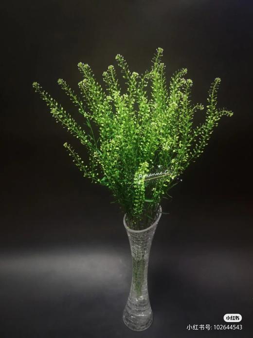 配花-绿灵草 商品图0