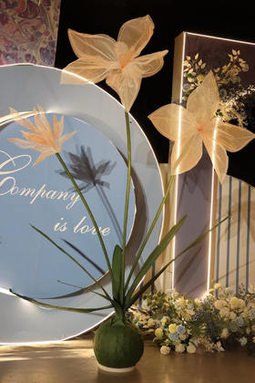 水仙花【运费自理】