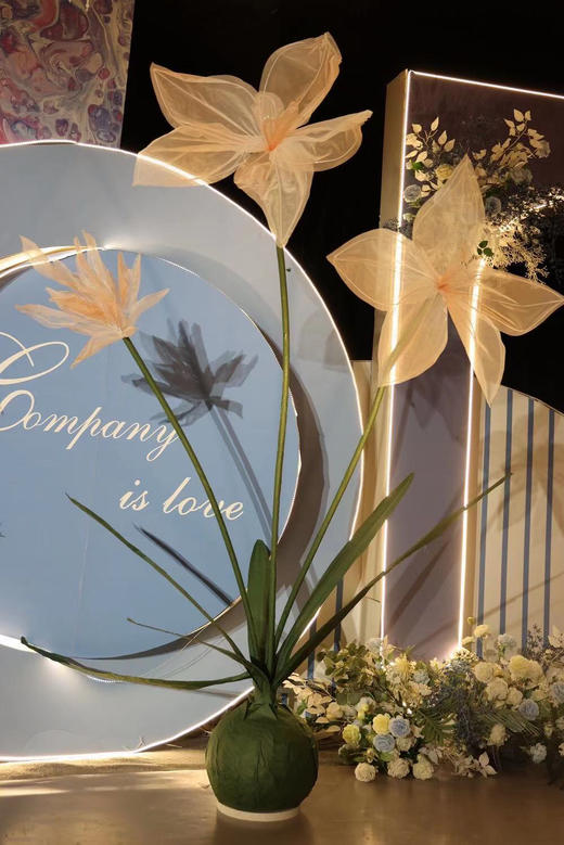 水仙花【运费自理】 商品图0