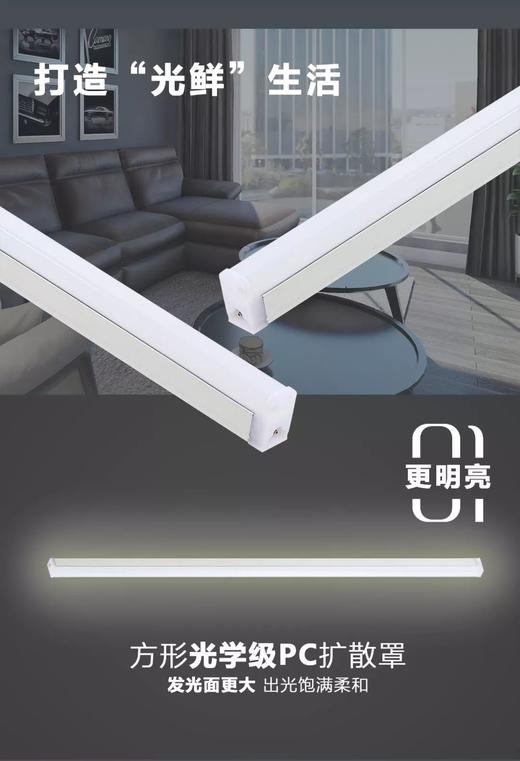 贵派 星火Ⅳ代 T5一体化5W  30cm 商品图2