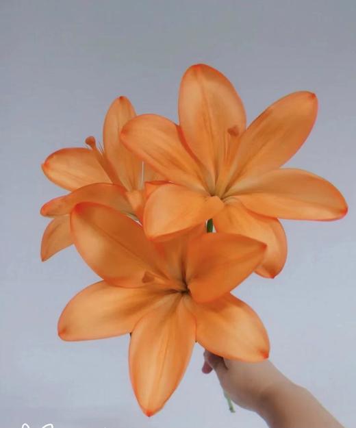 【精品百合】橙色梦想  多头  5支/扎 商品图2