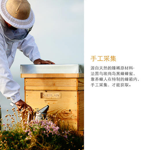 【1F】娇兰帝皇蜂姿密护日霜50ml 商品图3