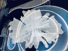 云雾大花【运费自理】