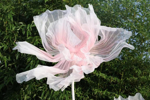 水彩大花【运费自理】 商品图5