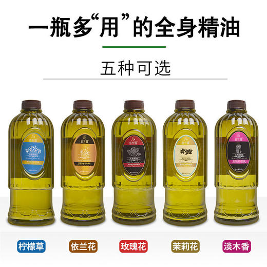 茉莉花植物精油身体按摩油刮痧开背推通经疏络美容院spa做身体用 商品图0