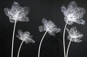 果冻花【运费自理】