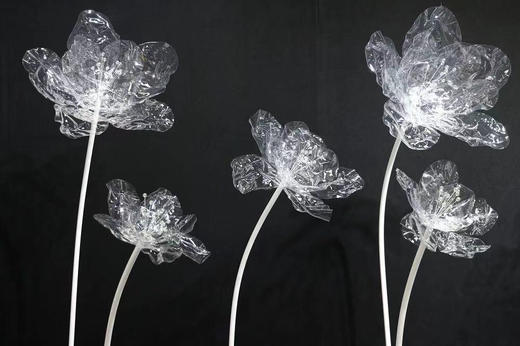 果冻花【运费自理】 商品图0