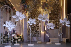 银边花【运费自理】