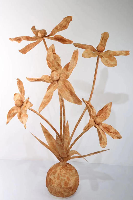 五头水仙【运费自理】 商品图6