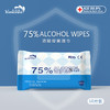 【特惠10包】75酒精湿巾10片装消毒湿纸巾氯免洗湿巾-M仓 商品缩略图0