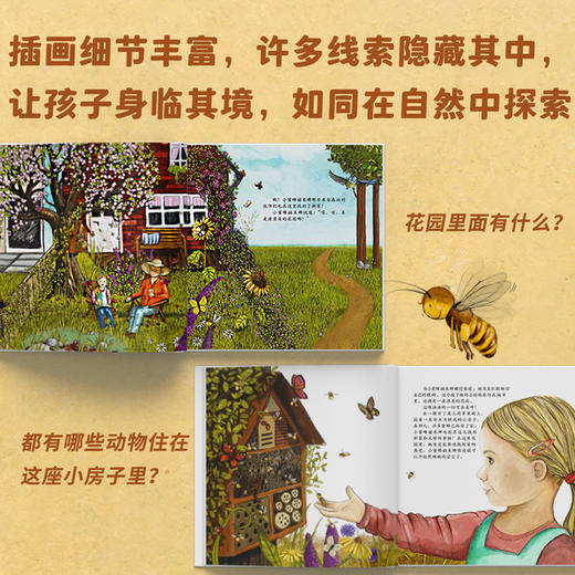 小蜜蜂赫米娜 哪里才是你的家？ 商品图5