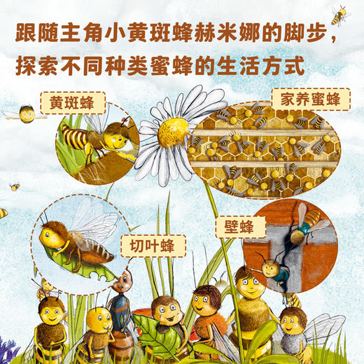 小蜜蜂赫米娜 哪里才是你的家？ 商品图4