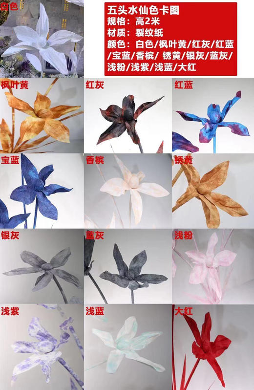 五头水仙【运费自理】 商品图9