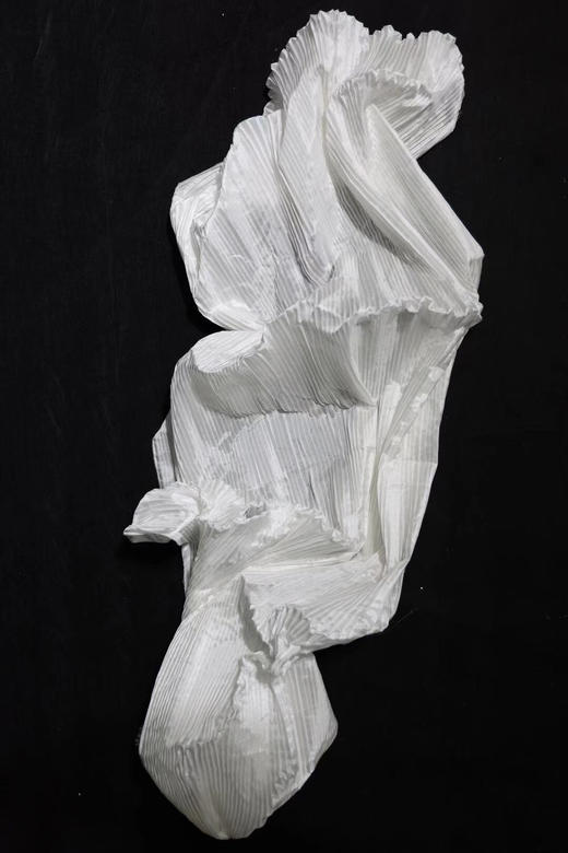 皱纹布【运费自理】 商品图7