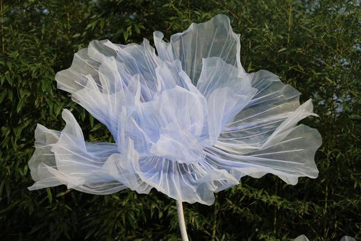 水彩大花【运费自理】 商品图4