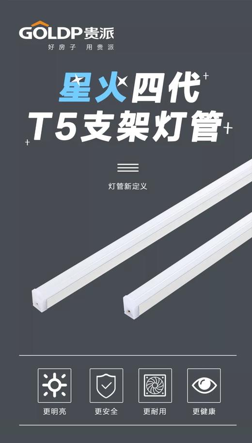 贵派 星火Ⅳ代 T5一体化5W  30cm 商品图1