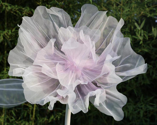 水彩大花【运费自理】 商品图6