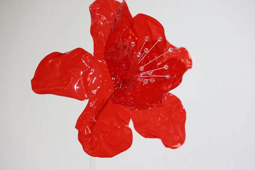 果冻花【运费自理】 商品图5