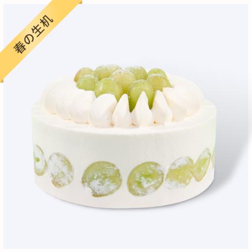 （咸味）奶油【春の生机】- 新鲜水果+焦糖脆脆夹心，清新青提蛋糕 商品图0