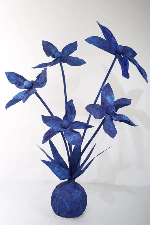 五头水仙【运费自理】 商品图8