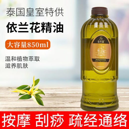茉莉花植物精油身体按摩油刮痧开背推通经疏络美容院spa做身体用 商品图1