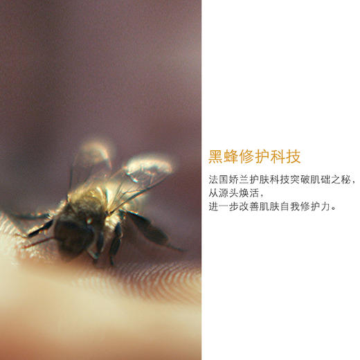 【1F】娇兰帝皇蜂姿蜜润修护精粹水肌肤保湿滋润150/300ml 商品图3