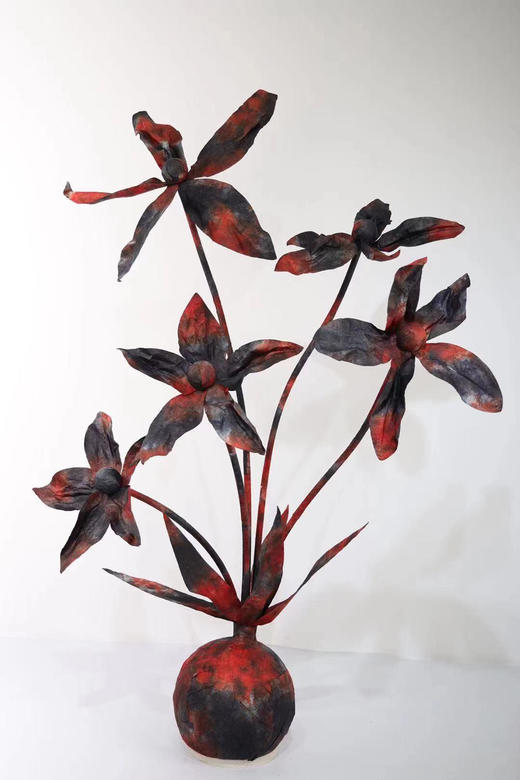 五头水仙【运费自理】 商品图7