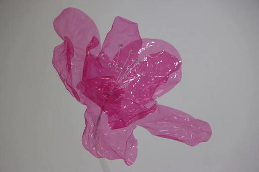 果冻花【运费自理】 商品图7