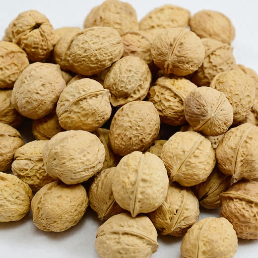薄皮核桃500g 皮薄易剥 一夹就开 商品图6
