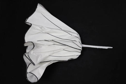 描边花【运费自理】 商品图2