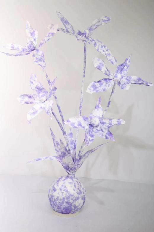 五头水仙【运费自理】 商品图5