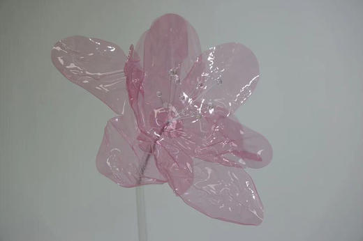 果冻花【运费自理】 商品图6