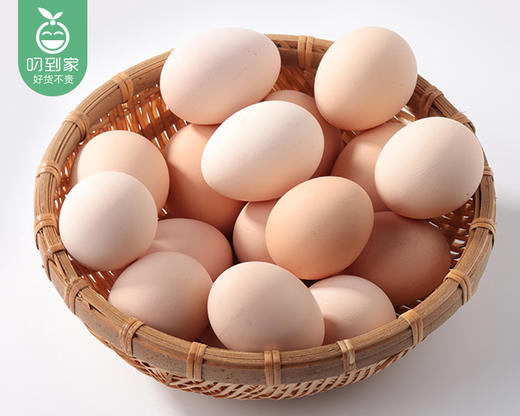 买1送1敏艾格生态鸡蛋/1盒（30枚，共约1.2kg）生产日期：12月18日左右 商品图5