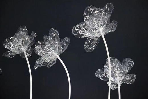 果冻花【运费自理】 商品图2