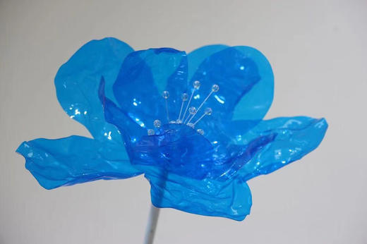 果冻花【运费自理】 商品图4