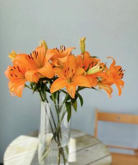 【精品百合】橙色梦想  多头  5支/扎