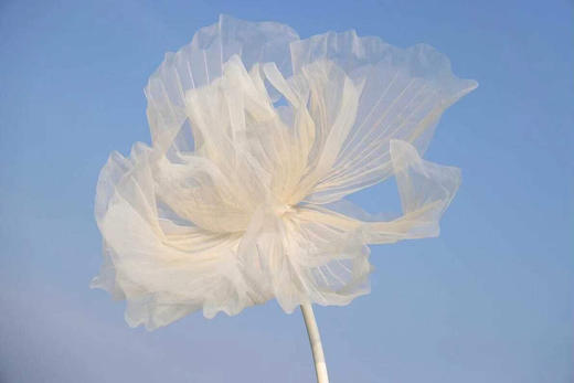 水彩大花【运费自理】 商品图1