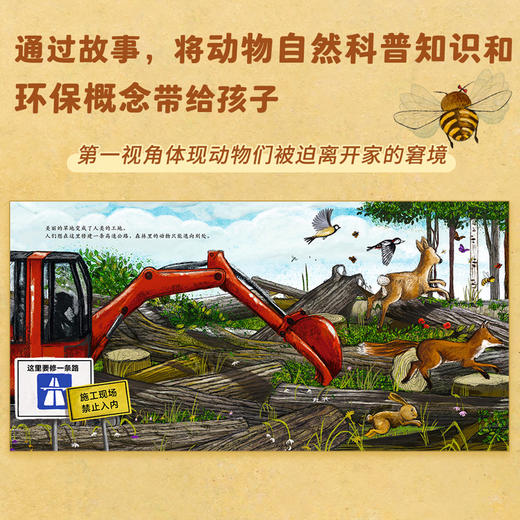 小蜜蜂赫米娜 哪里才是你的家？ 商品图3