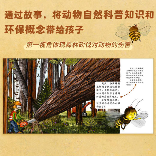 小蜜蜂赫米娜 哪里才是你的家？ 商品图2
